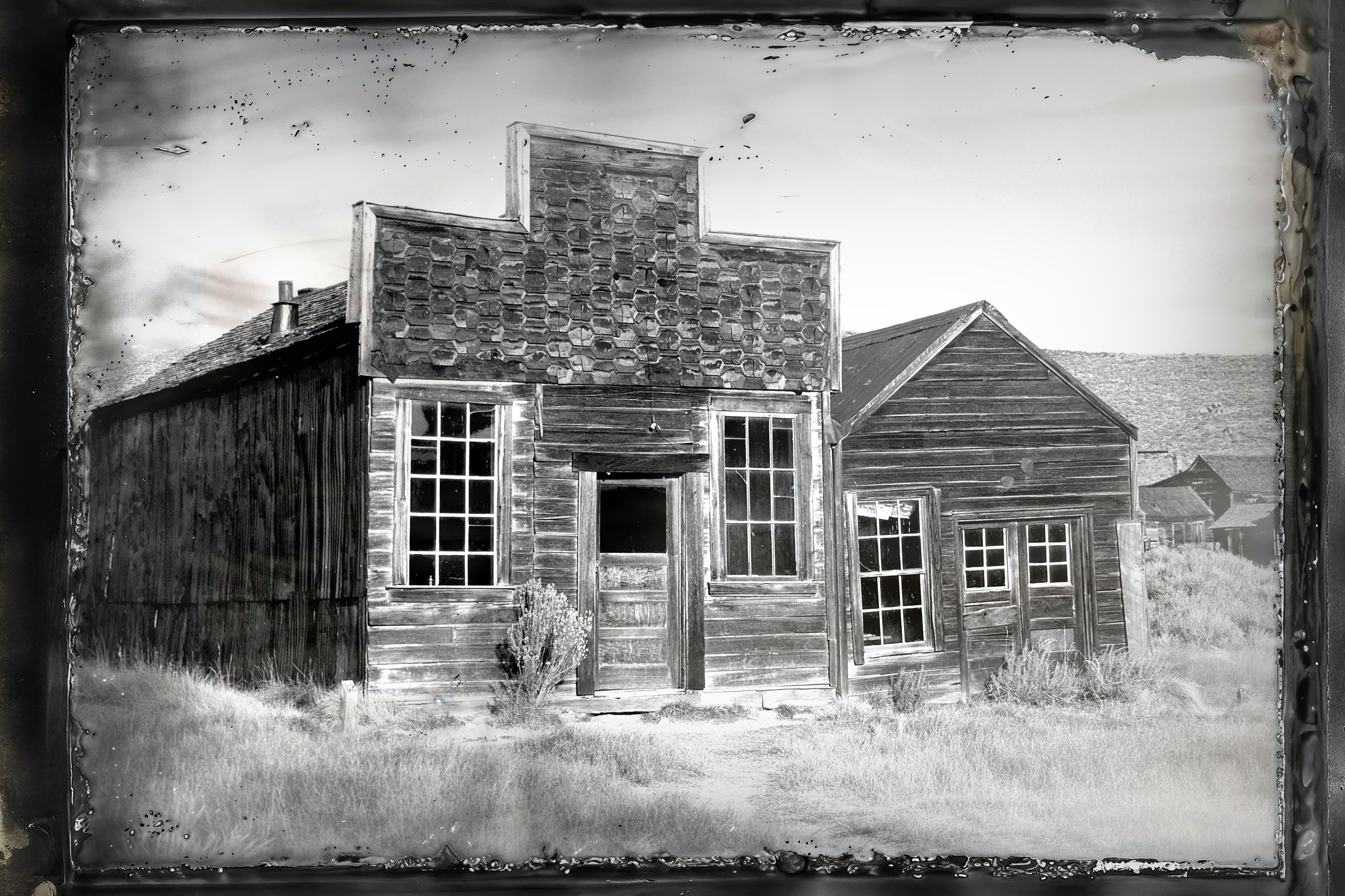 BW EMULSION - Expired B&W Pola Vol 01