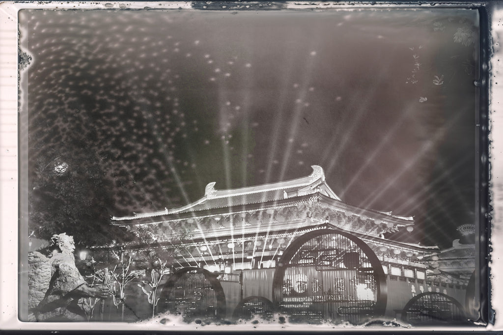 BW EMULSION - Expired B&W Pola Vol 01