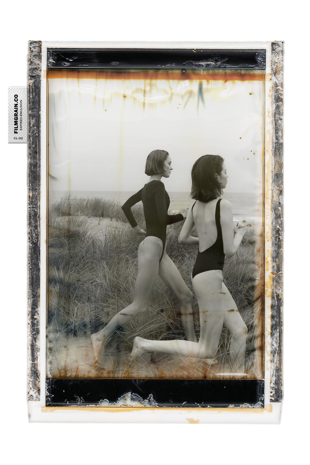 100C EMULSION - Expired Pola Color Vol 02