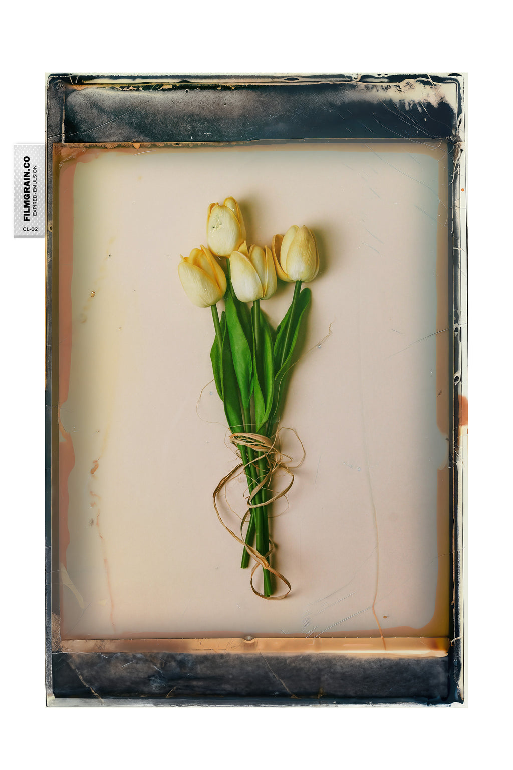 100C EMULSION - Expired Pola Color Vol 02