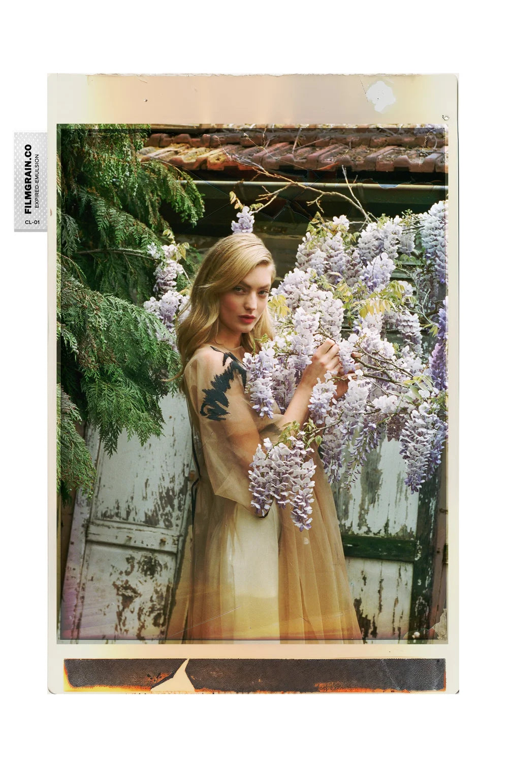 100C EMULSION - Expired Pola Color Vol 02