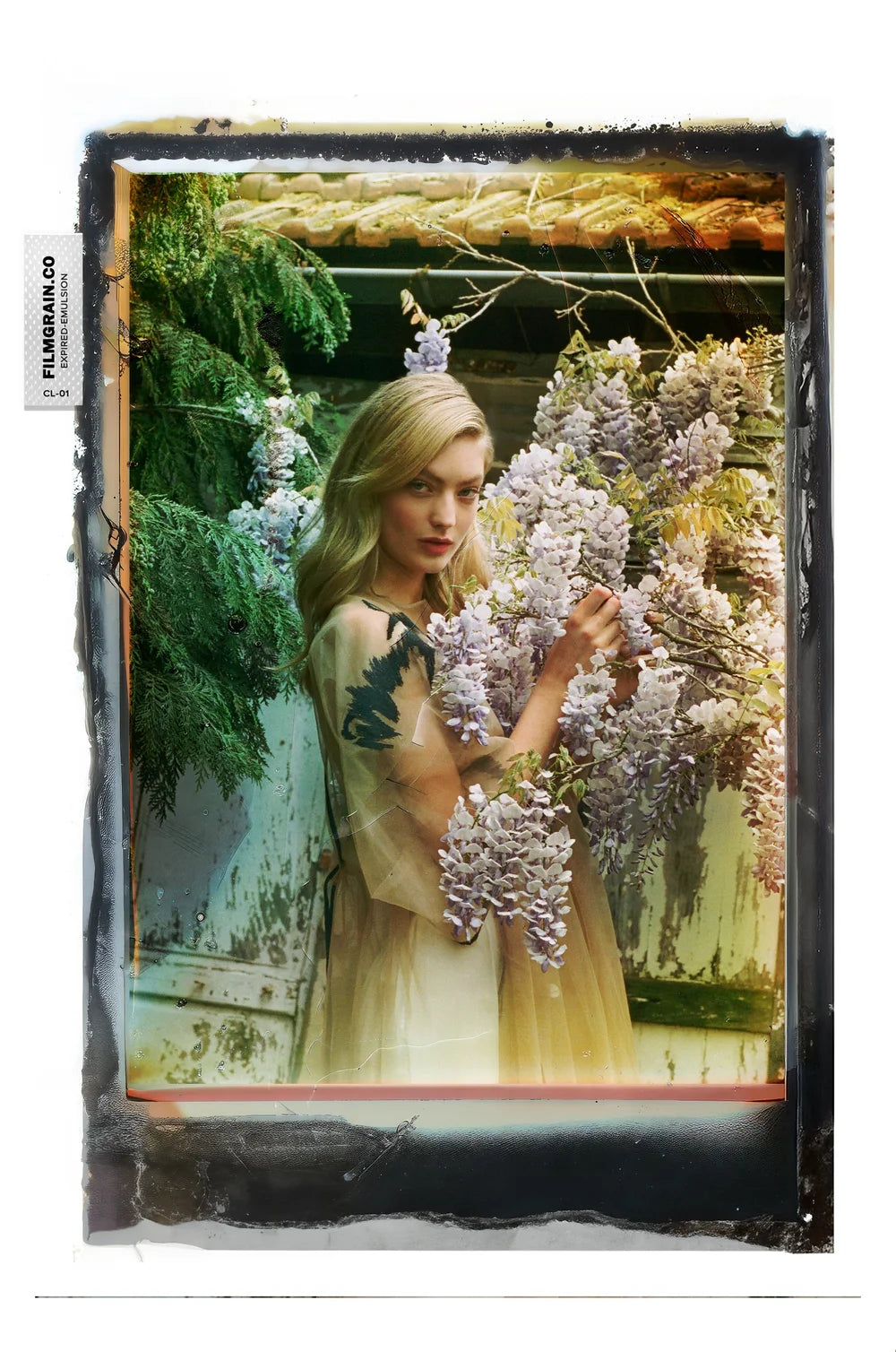 100C EMULSION BUNDLE - Expired Color 40 Overlays