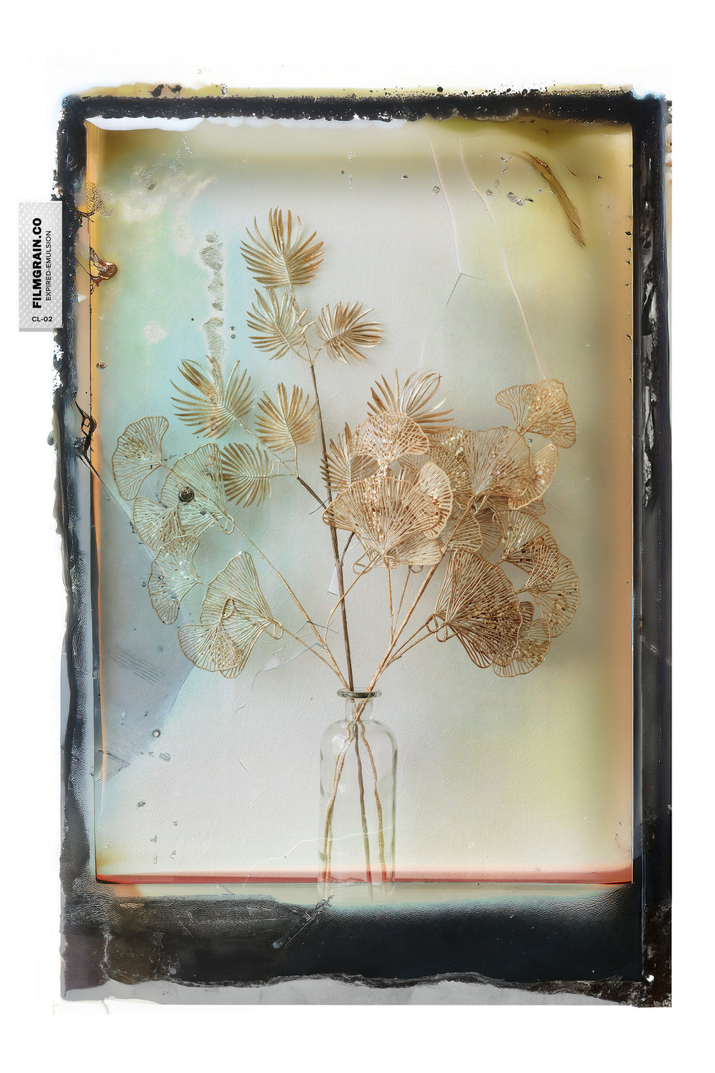 100C EMULSION - Expired Pola Color Vol 02