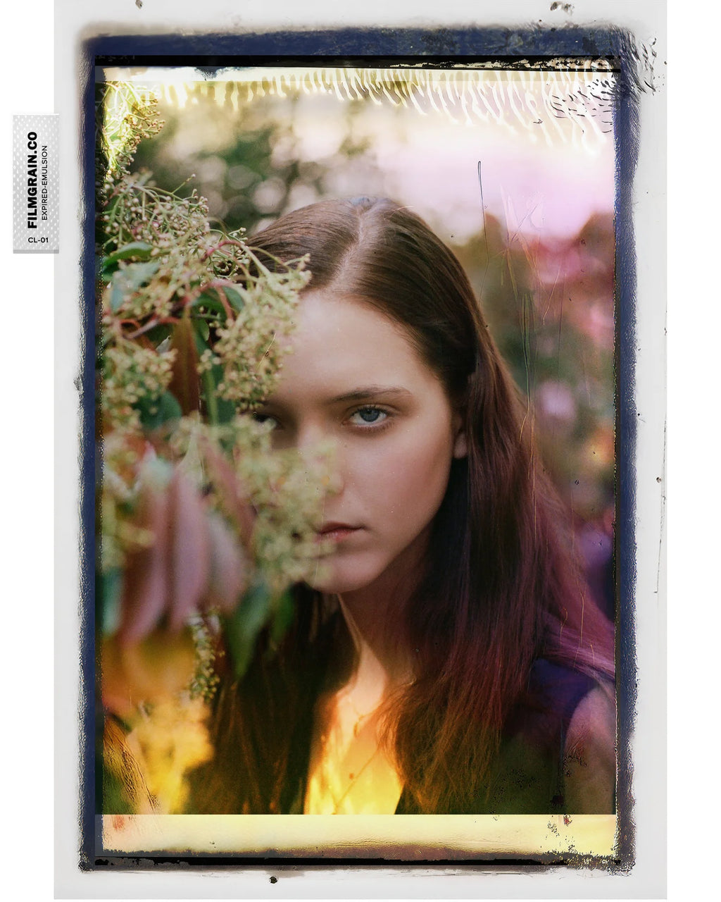 100C EMULSION BUNDLE - Expired Color 40 Overlays