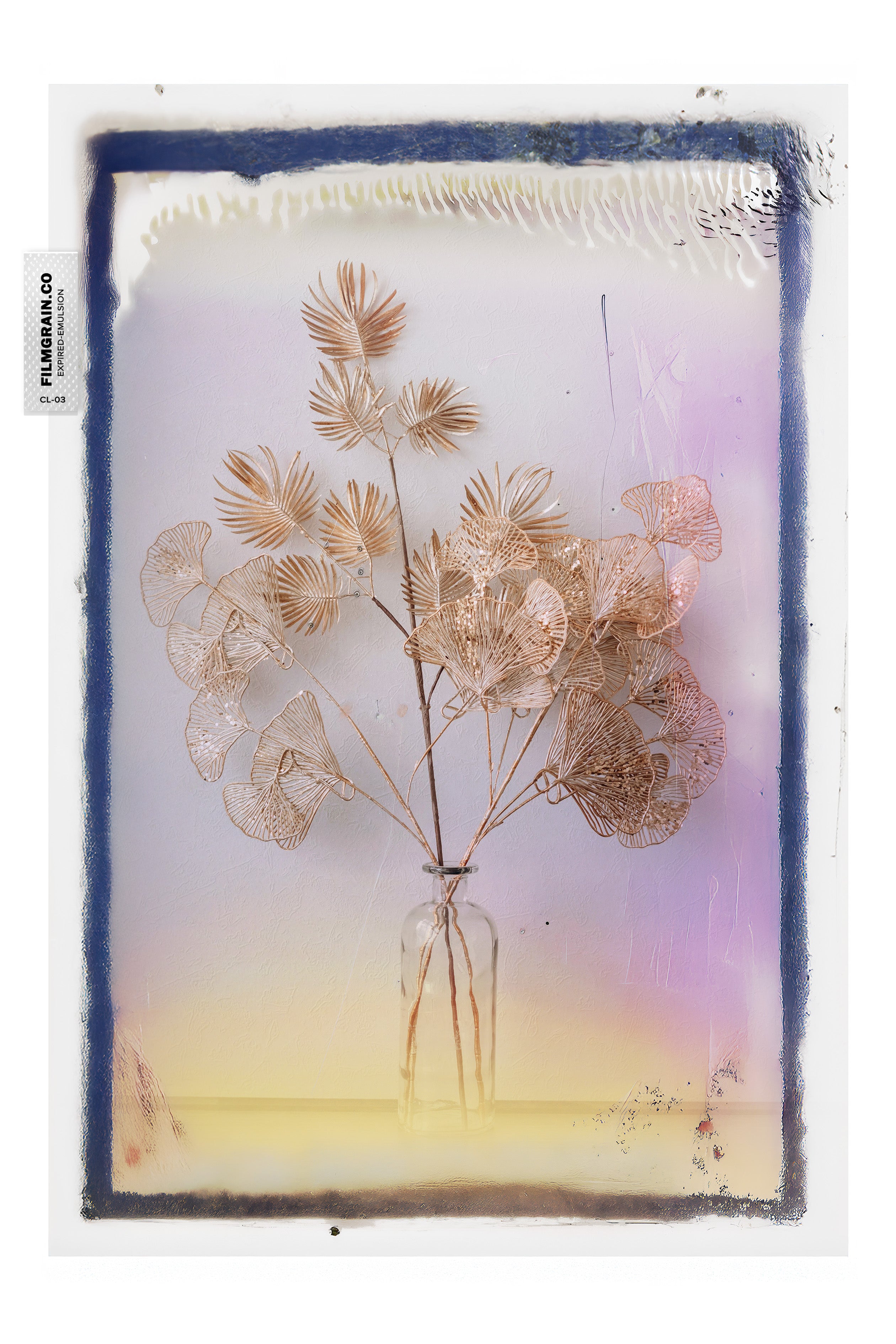 100C EMULSION - Expired Pola Color Vol 03