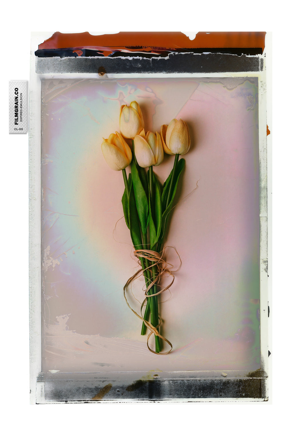 100C EMULSION - Expired Pola Color Vol 03