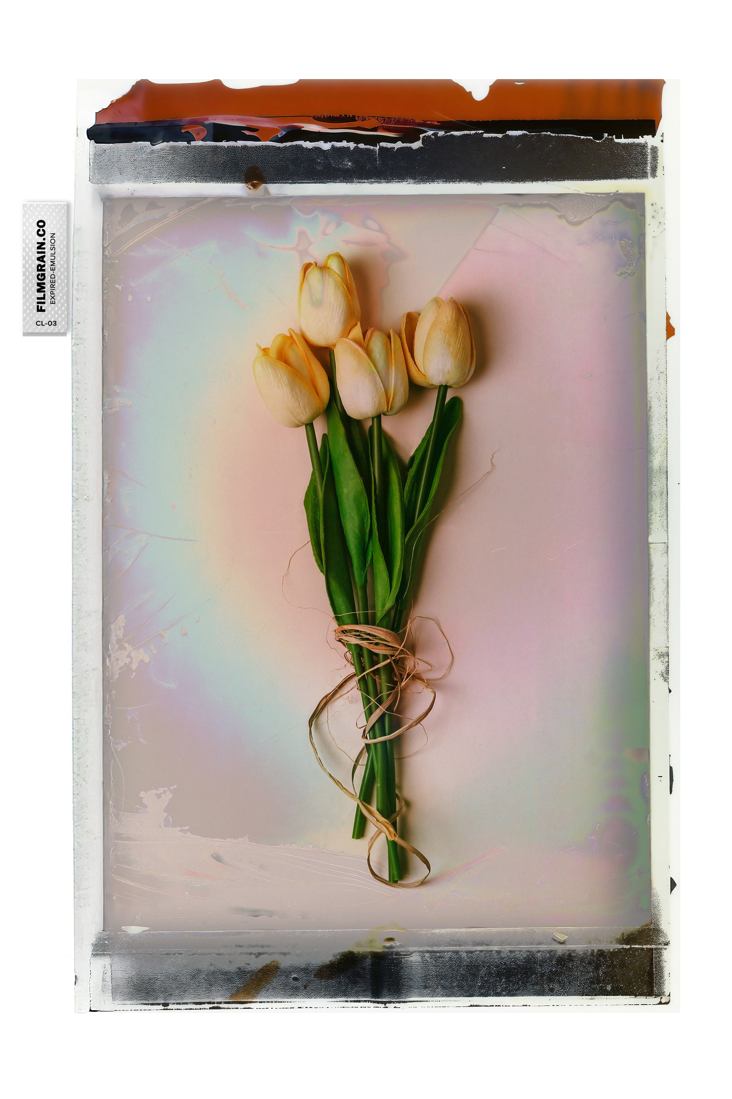 100C EMULSION - Expired Pola Color Vol 03