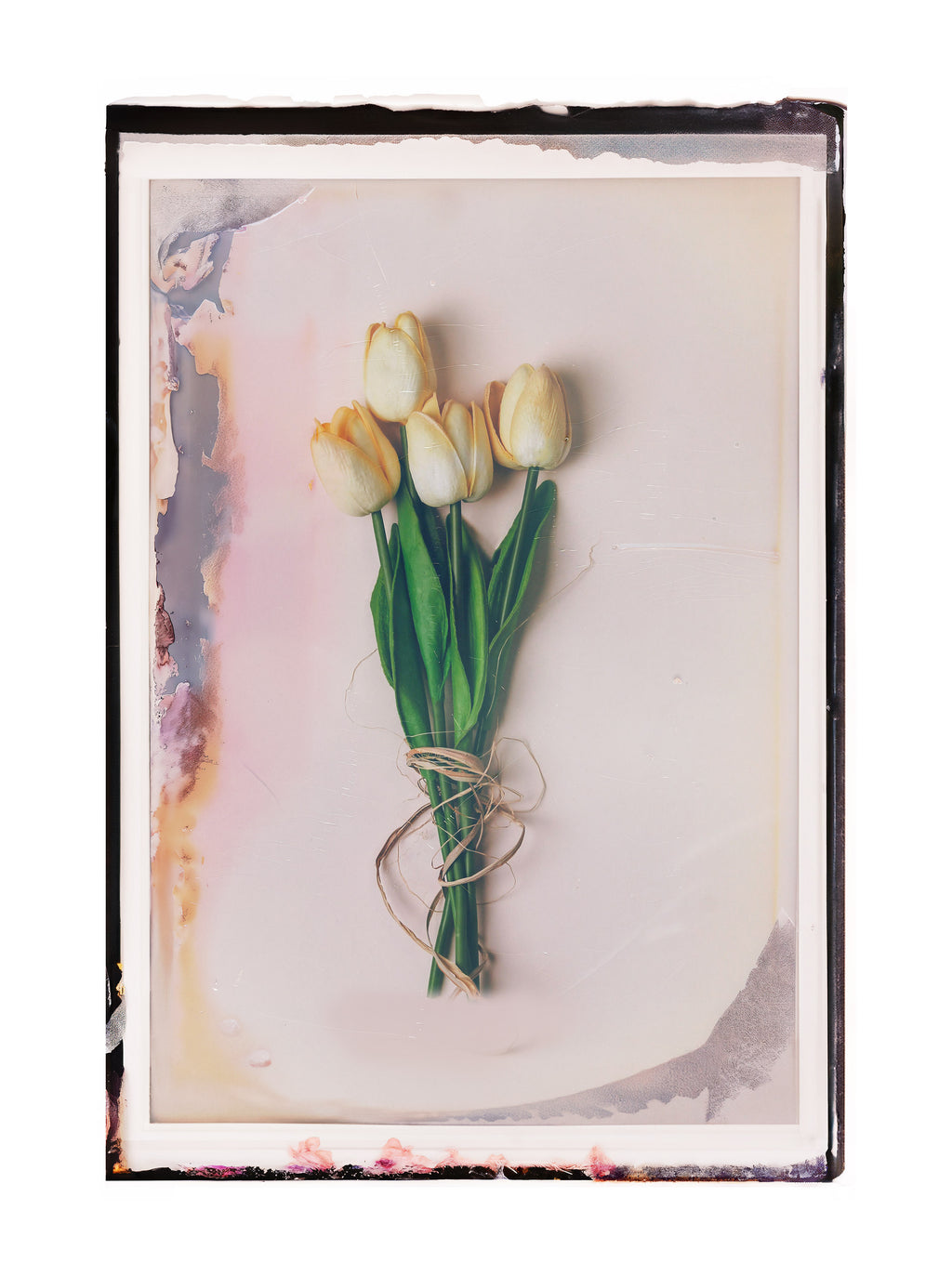 100C EMULSION - Expired Pola Color Vol 04