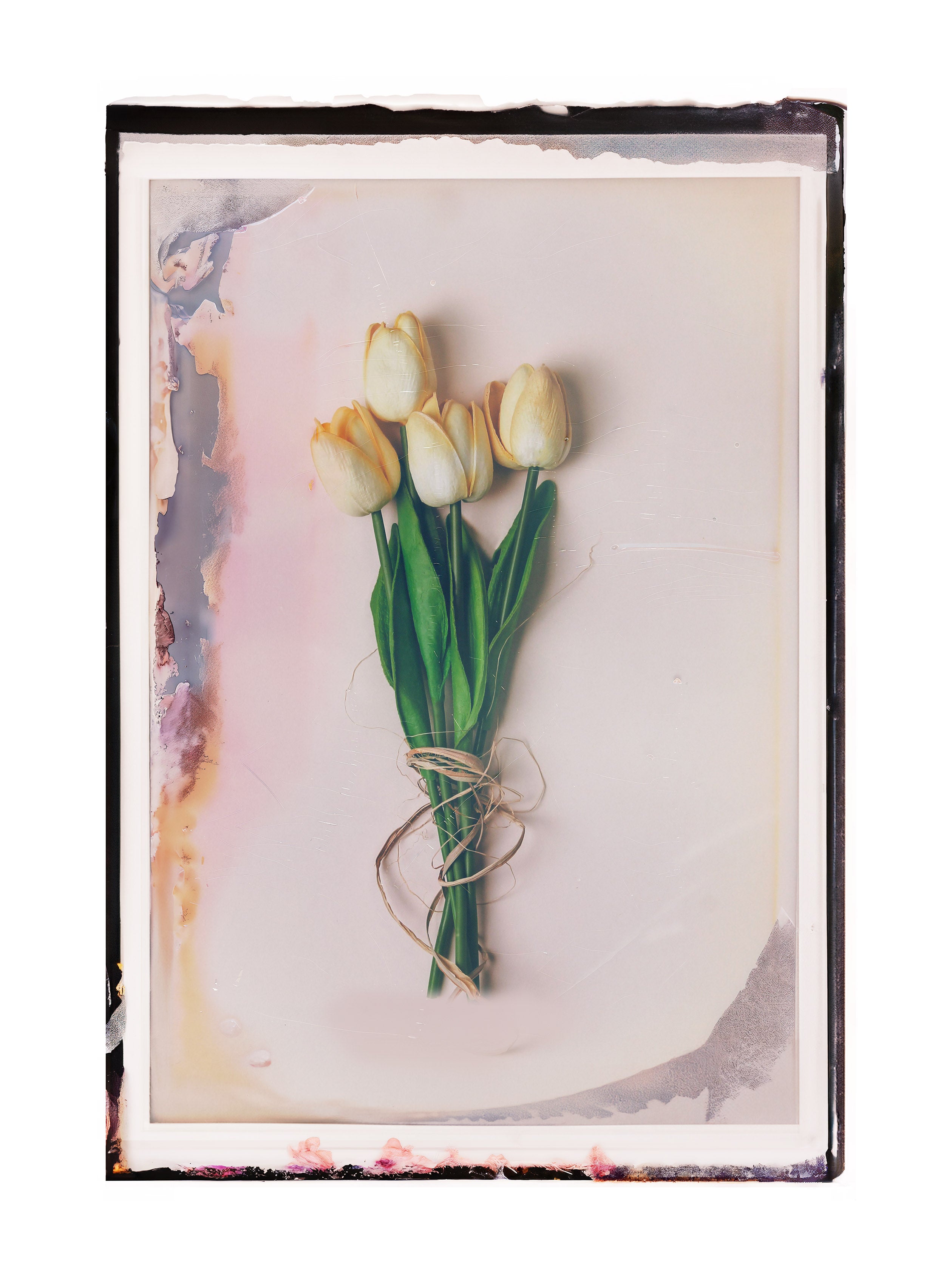 100C EMULSION - Expired Pola Color Vol 04