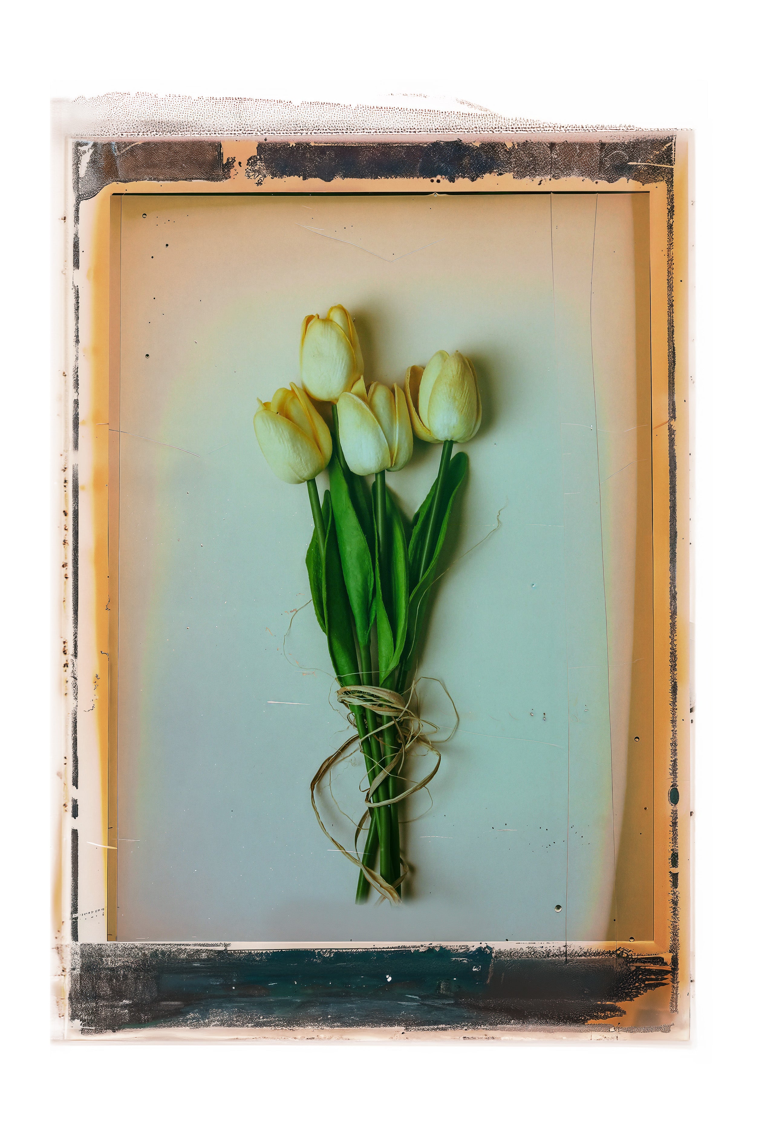 100C EMULSION - Expired Pola Color Vol 04