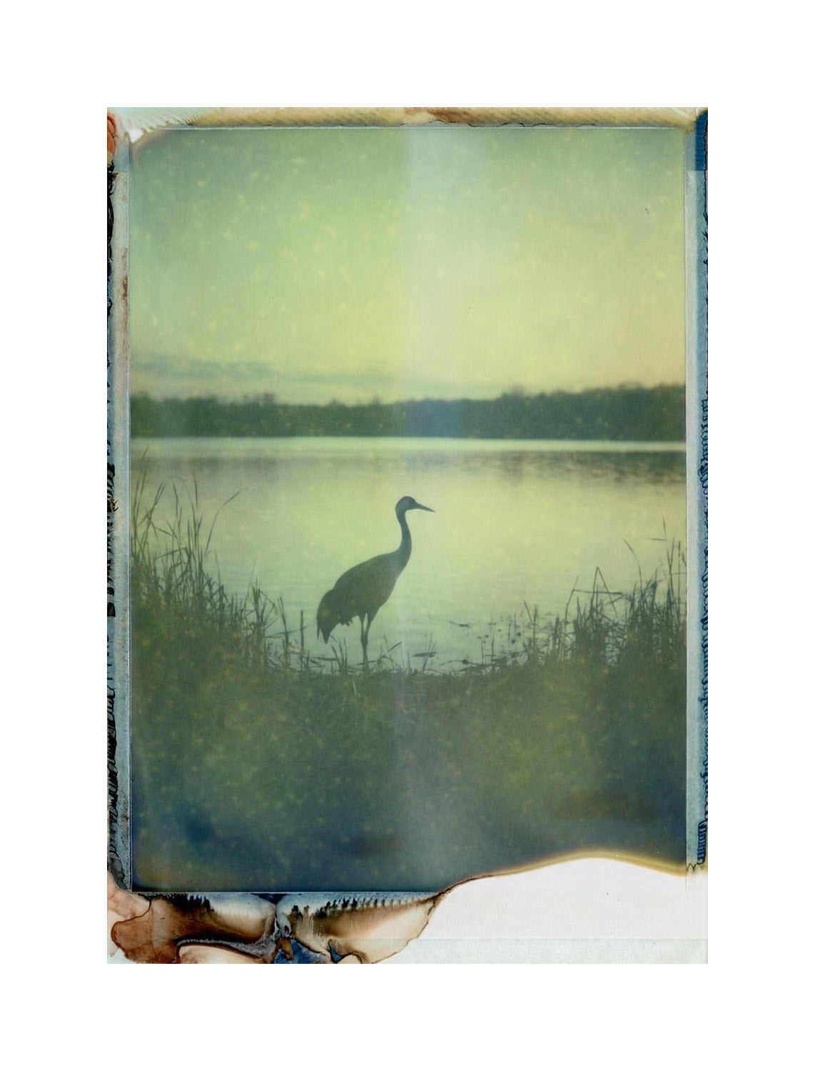 Polaroid ID-UV | 1995 Edition — Expired Pack Film (10 shots)